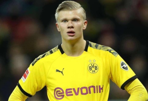 定性变量 定性变量